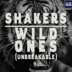 Wild Ones (Unbreakable) (Radio Edit)