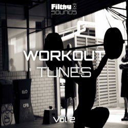 Workout Tunes, Vol. 2