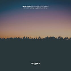 Awakenings (Remixes)
