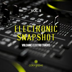 Electronic Snapshot, Vol. 8 (Volcanic Electro Tracks)