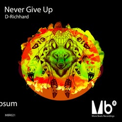 Never Give Up