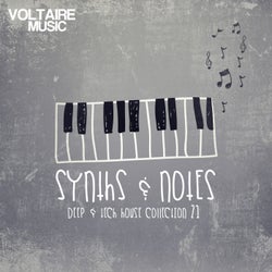 Synths And Notes 21