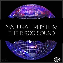 The Disco Sound