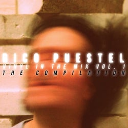 Vinyl in the Mix Vol. 1 - The Compilation