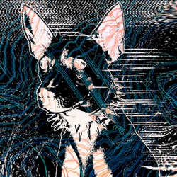 PERRO RAVEROSO REMIXES