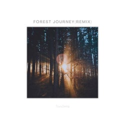 Forest Journey(Remix)