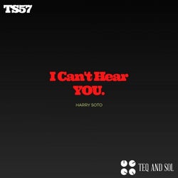 I Can't Hear you