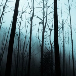 Shaken with Fear