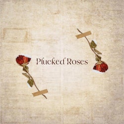 Plucked Roses
