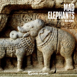 Mad Elephants