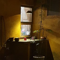 Jajam on a Saturday Evening