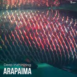 Arapaima