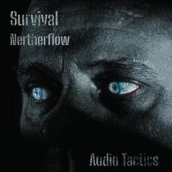 Netherflow