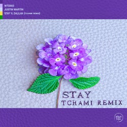 Stay (feat. Dalilah) - Tchami Remix