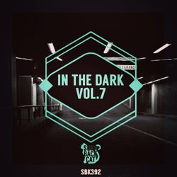 In the Dark, Vol. 7