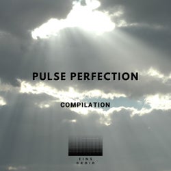 Pulse Perfection