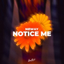 Notice Me