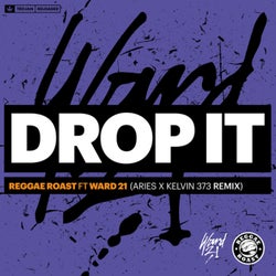 Drop It (Aries & Kelvin 373 Remix)