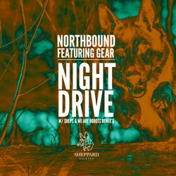 Night Drive (feat. GEAR)