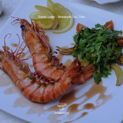 Seaside Lounge – Background Chill Vibes