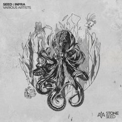SEED : INFRA