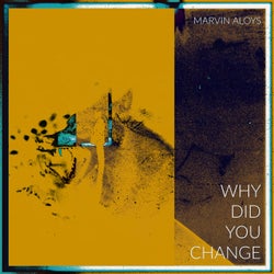 WHY DID YOU CHANGE