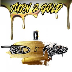 Turn To Gold (APLSOZ Remix)