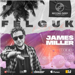 Deep House Selection #083 Guest Mix Felguk