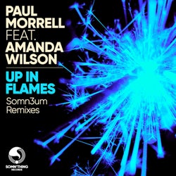 Up in Flames (Somn3um Remixes)