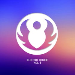 Electro House, Vol.3