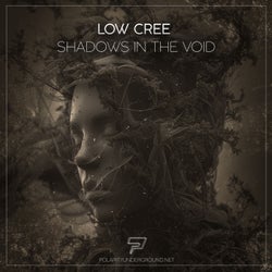 Shadows in the Void