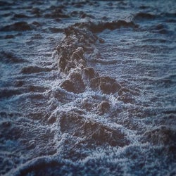 High Tide