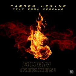 Burn - Remixes