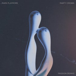 Passion (Mark Playmore Remix)