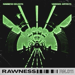 Rawness Selects, Vol. 1