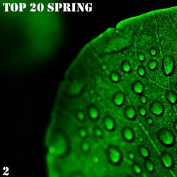 TOP 20 Spring,  Vol. 2