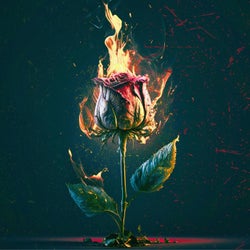 Fire and Desire (Radio Edit)