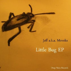 Little Bug EP