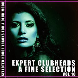 Expert Clubheads: A Fine Selection, Vol. 10