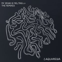 My Brain Is Melting EP - The Remixes