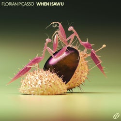 When I Saw U (Extended Mix)