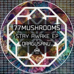 Stay Awake EP