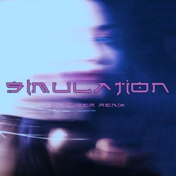 Simulation (Clouzer Remix)