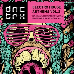 Electro House Anthems Vol.2