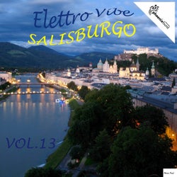Elettro Vibe Salisburgo, Vol. 13