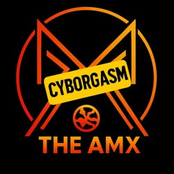 Cyborgasm