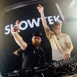 Showtek's - Save the Day (Once Again) Chart