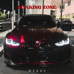 Shaking Zone