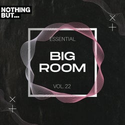 Nothing But... Essential Big Room, Vol. 22