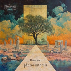 Photosynthesis